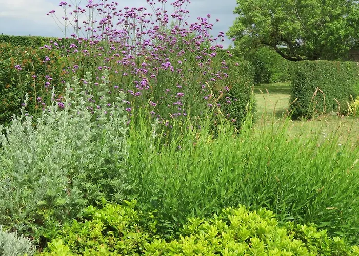 Du Pradel * Saint-Jory